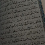 Profile picture of Emmy